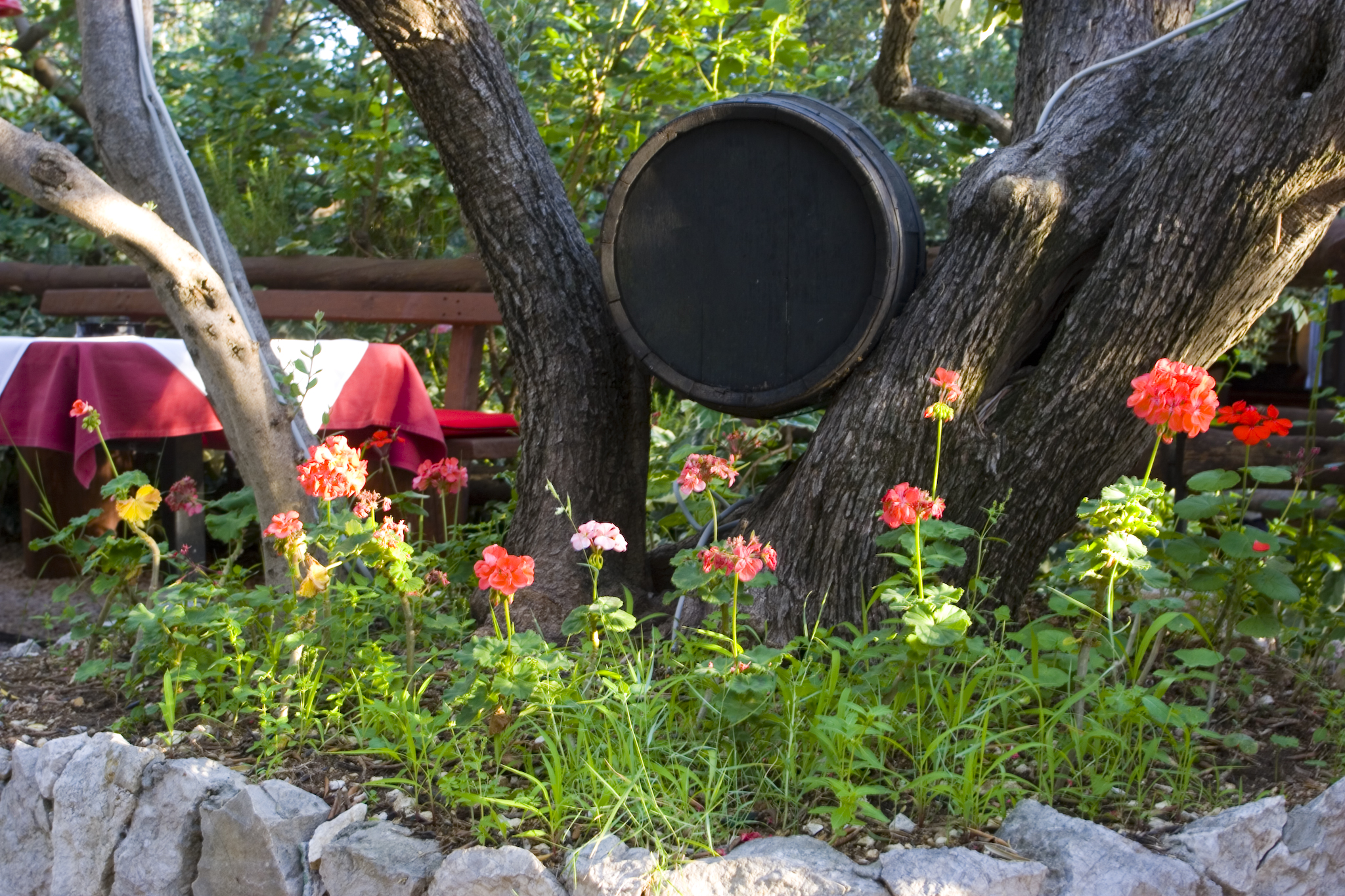 Unsere 3 Lieblingsrestaurants an der Makarska Riviera